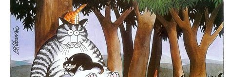 CatmanSuperhero's profile banner image
