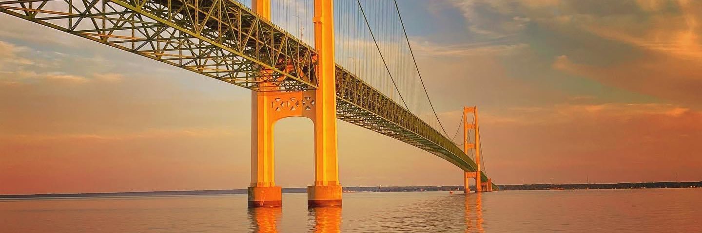 〽️ichigan Palmist 🗑️ banner