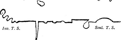 Brett D. Wilson ❄️ banner