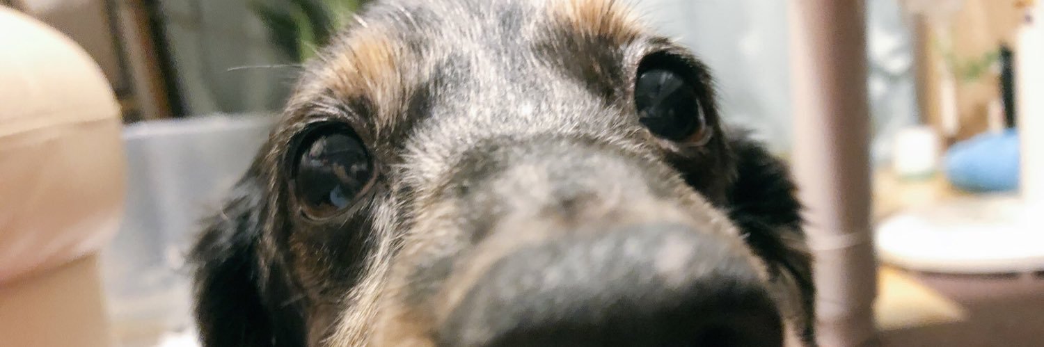 maimonzi's profile banner image