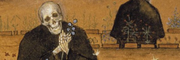 alfakeky2 Profile Banner