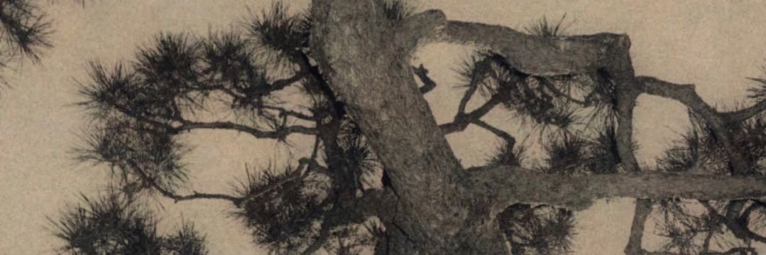 而你恨一个风雨飘摇的梦千年百年's banner