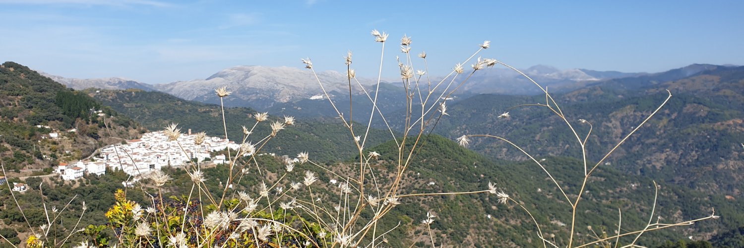 Patrick Mills banner