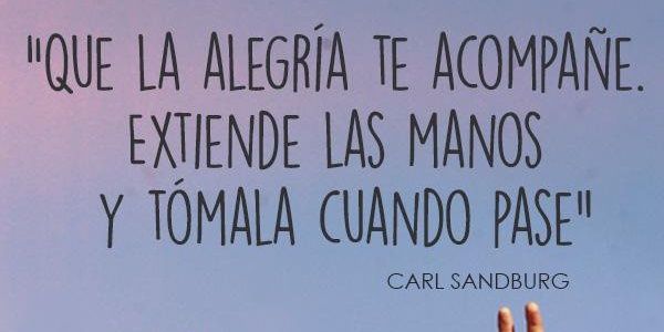#barbaridad banner