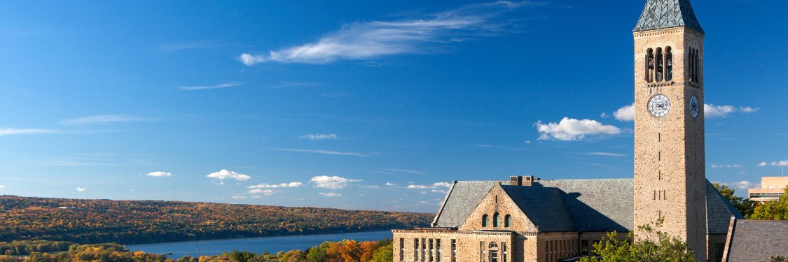 Mariana Wolfner Lab banner