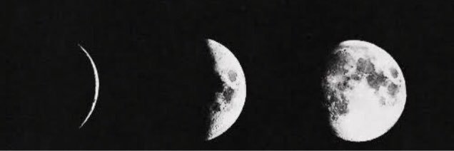 _ninnni's profile banner image