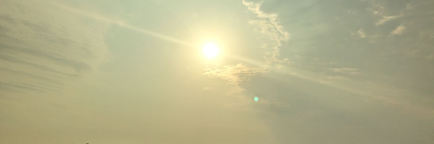 Melanie's banner