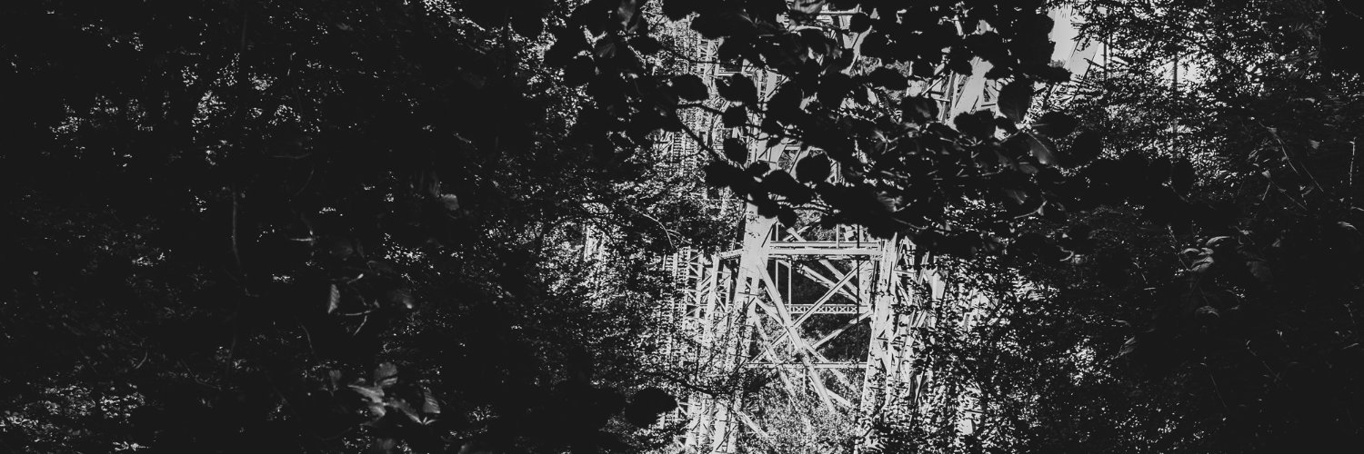 Johannes Schenk banner