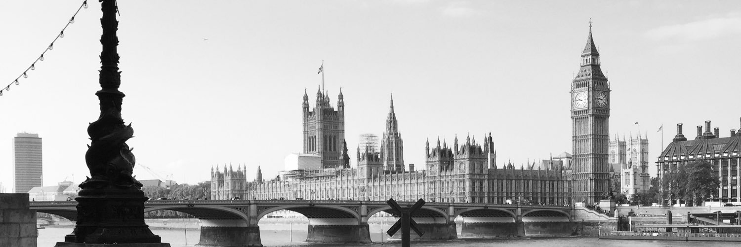 turconaxon's profile banner image