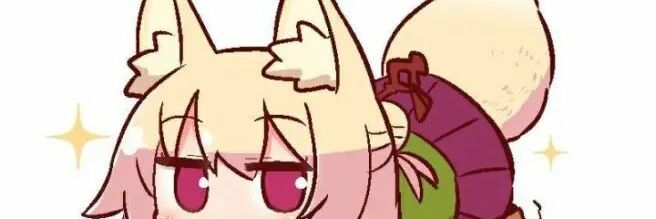 薛定谔的橘喵 banner