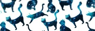 danali_oj166's profile banner image