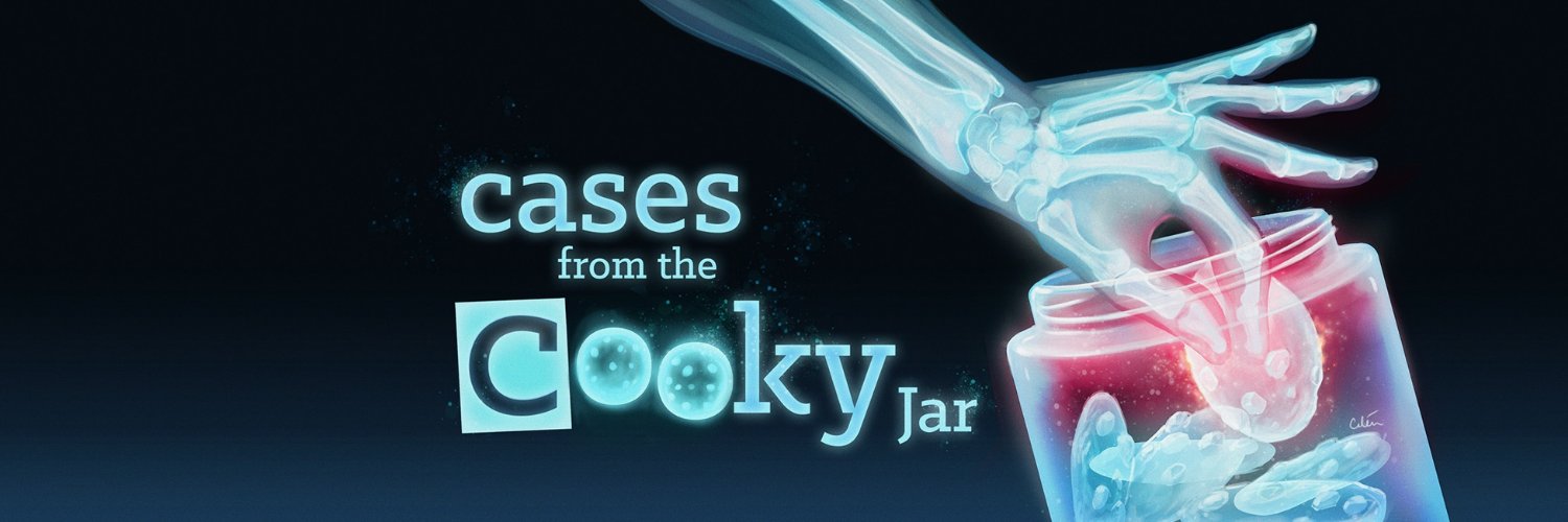 Cases From the Cooky Jar's banner