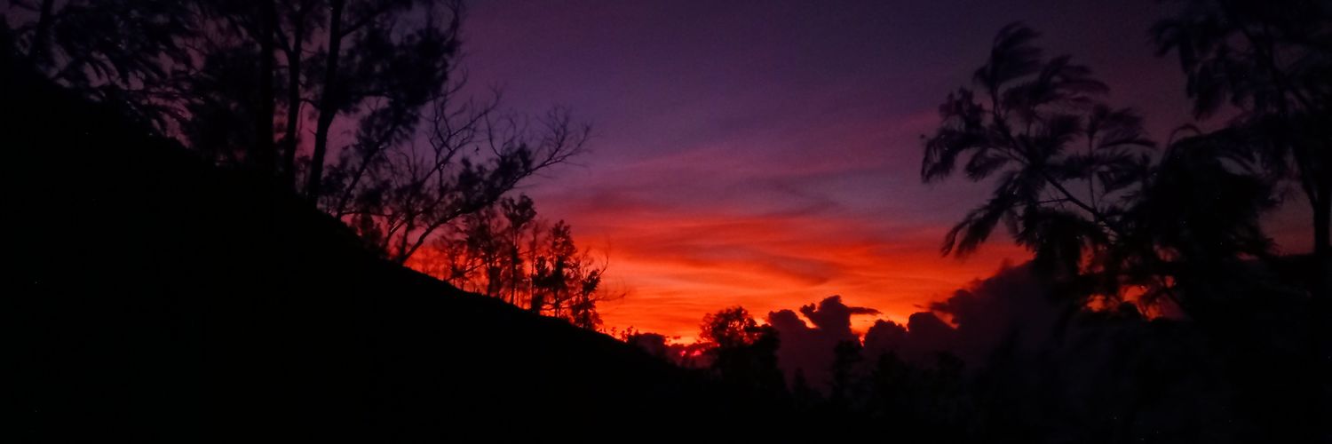 Tamapicture's profile banner image
