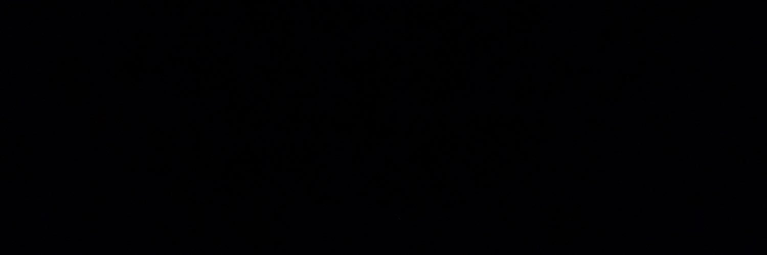 SeniorWasabi banner