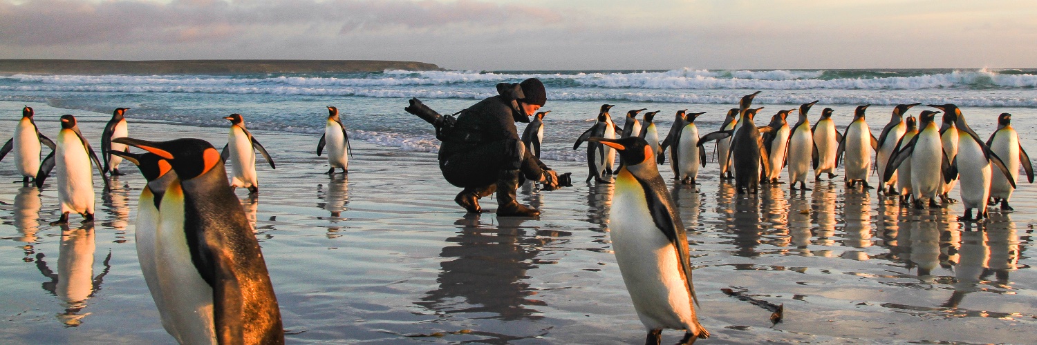 Yusuke Okada｜岡田裕介 banner