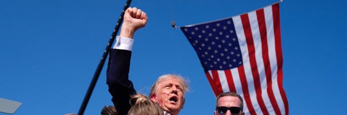 🇺🇸 wallys banner