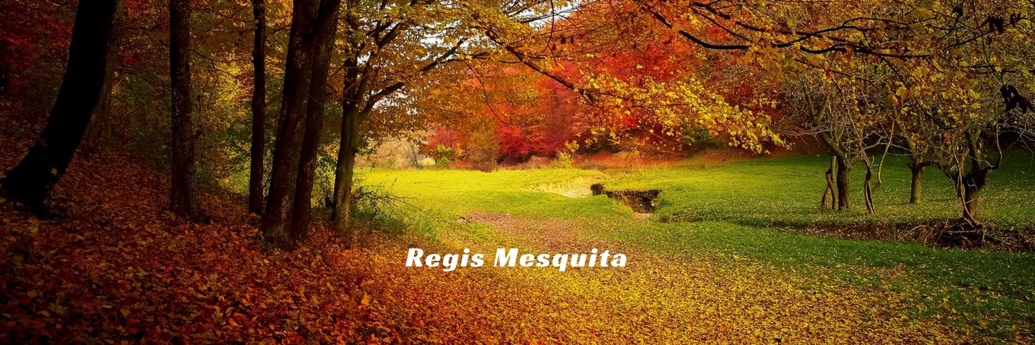 mesquitaregis's profile banner image