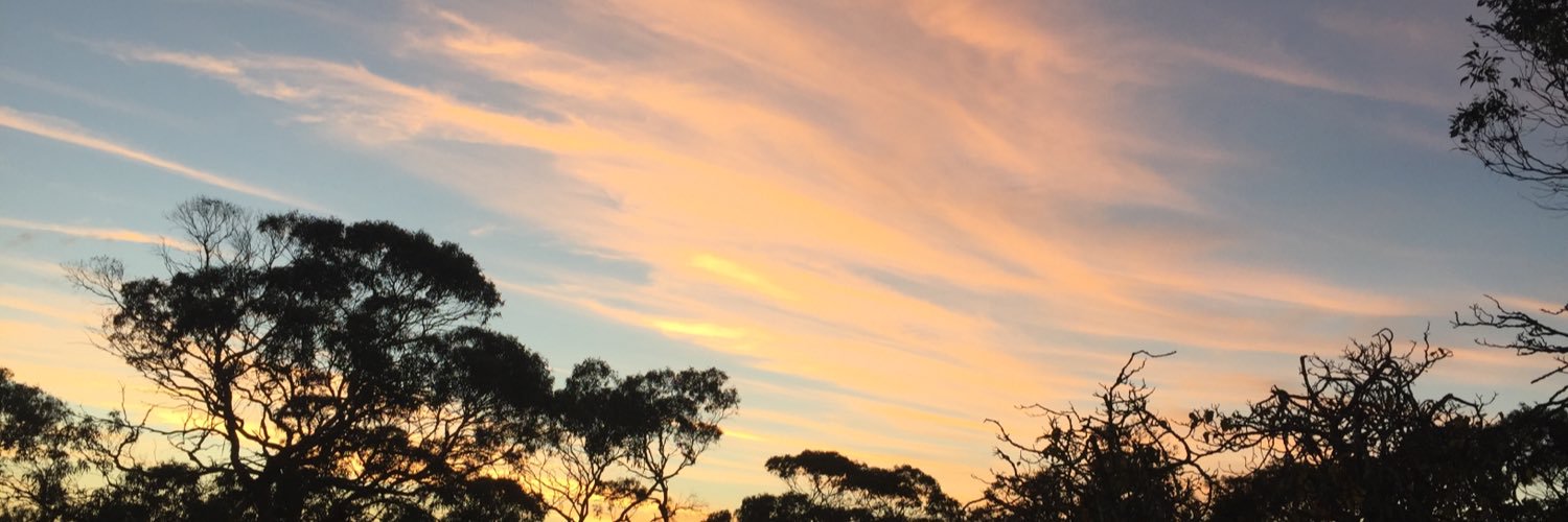 aurumbtc's profile banner image