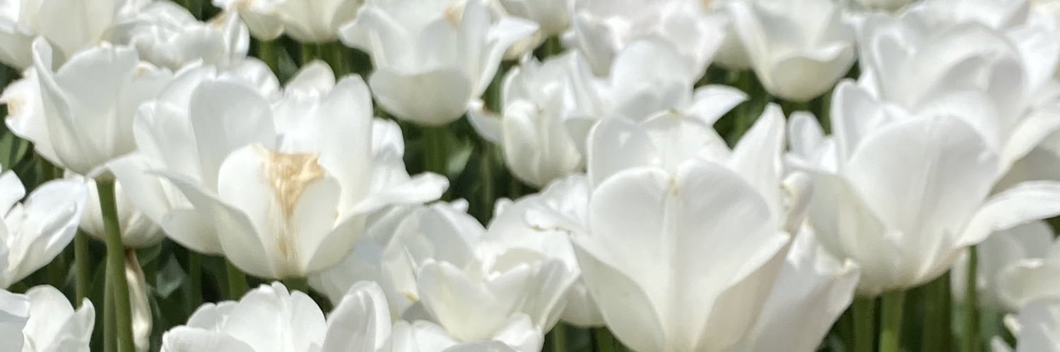 mnmknyn's profile banner image