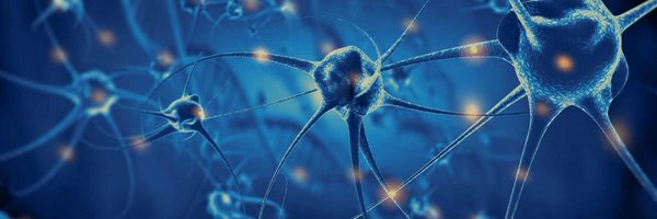 CatalystNeuro Profile Banner