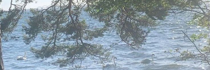 SIMJEDA's profile banner image
