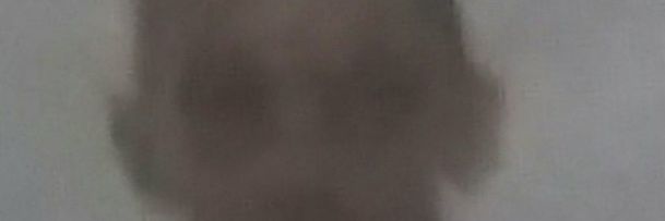 t0shimir banner