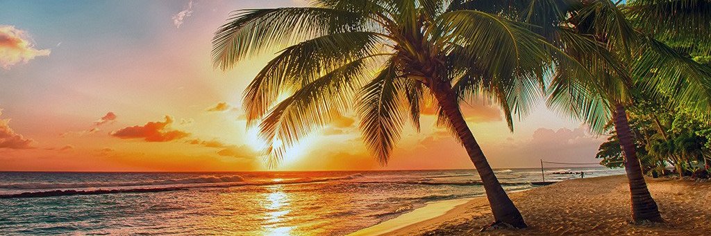 Roberto Andrade banner