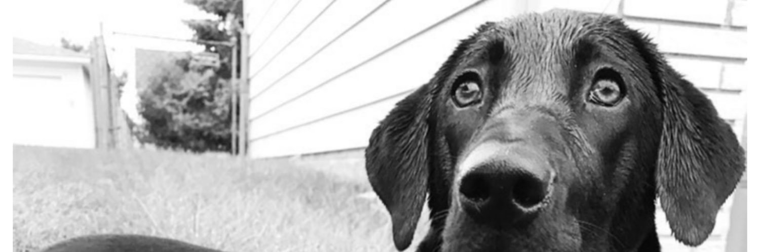 GoAgain86's profile banner image