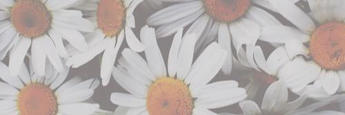LaulauKim's profile banner image
