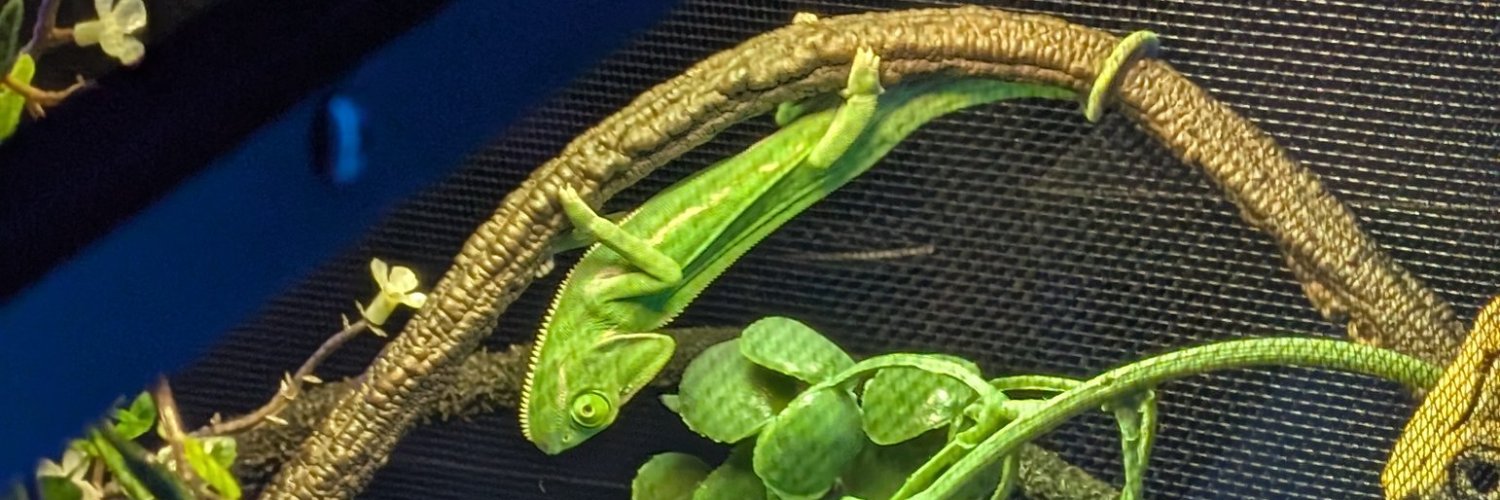 Morgana 🔜 BlizzCon 2026 banner