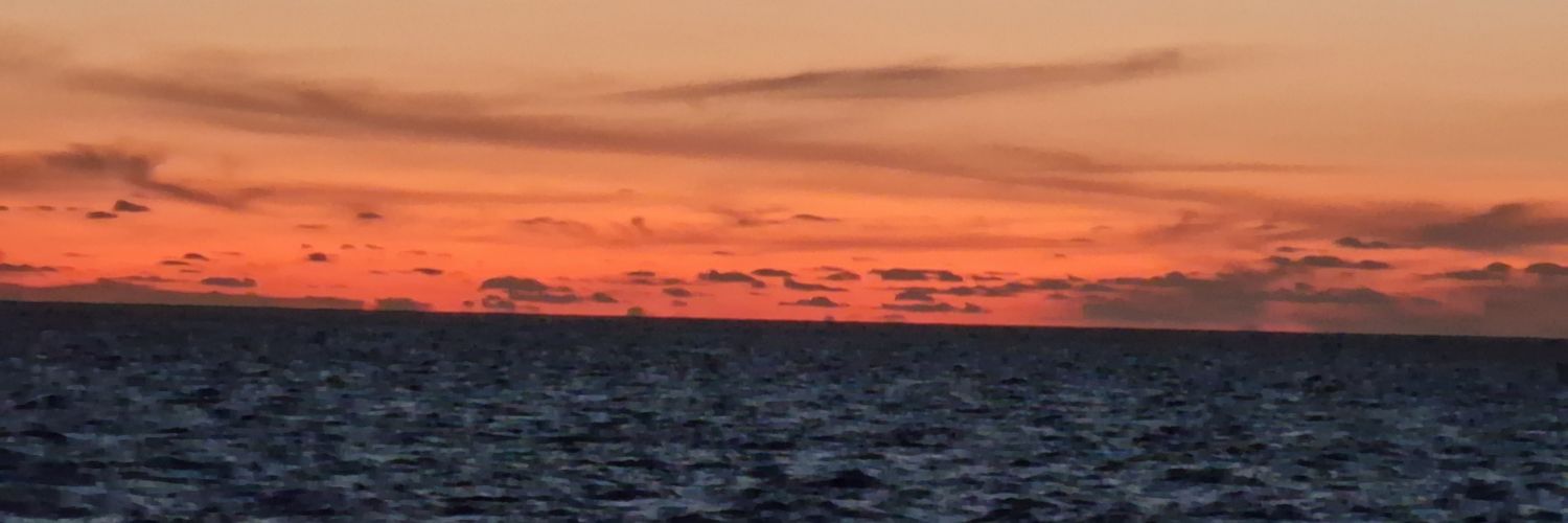 CommonSensePL1's profile banner image