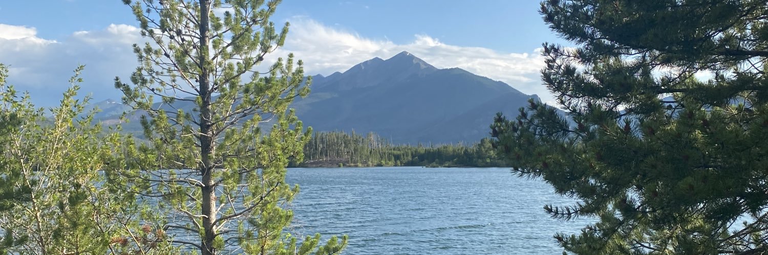 ElizabethNDP's profile banner image