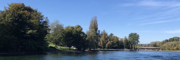 xinyichaitea Profile Banner