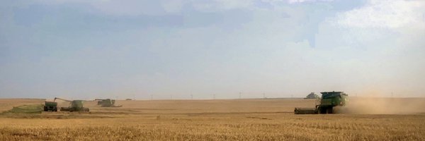 EllieWillard2 Profile Banner