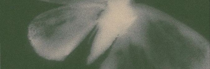 dutbeicur's profile banner image