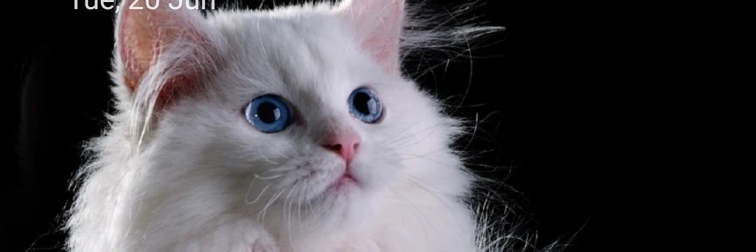 Phemchy Baba 🇳🇬 banner