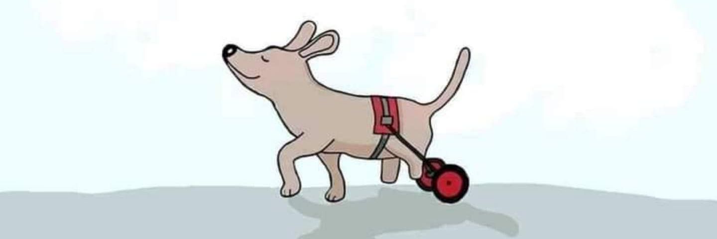 Guarde Felina De Mimo-Villasirenos banner