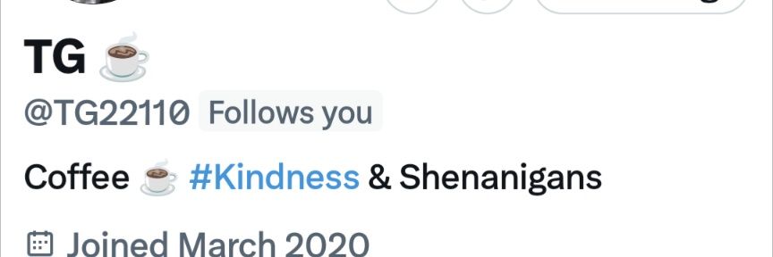 ThreeInchLawyerman🇺🇸🌪 banner