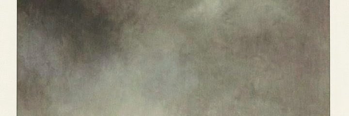 GildedFinche's profile banner image