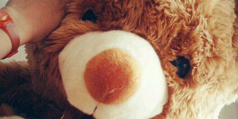 mery_jee's profile banner image