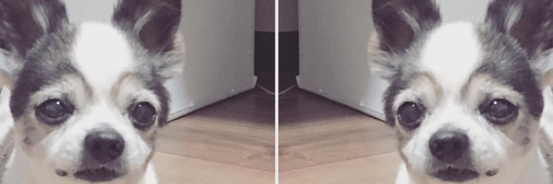 silky_milk's profile banner image