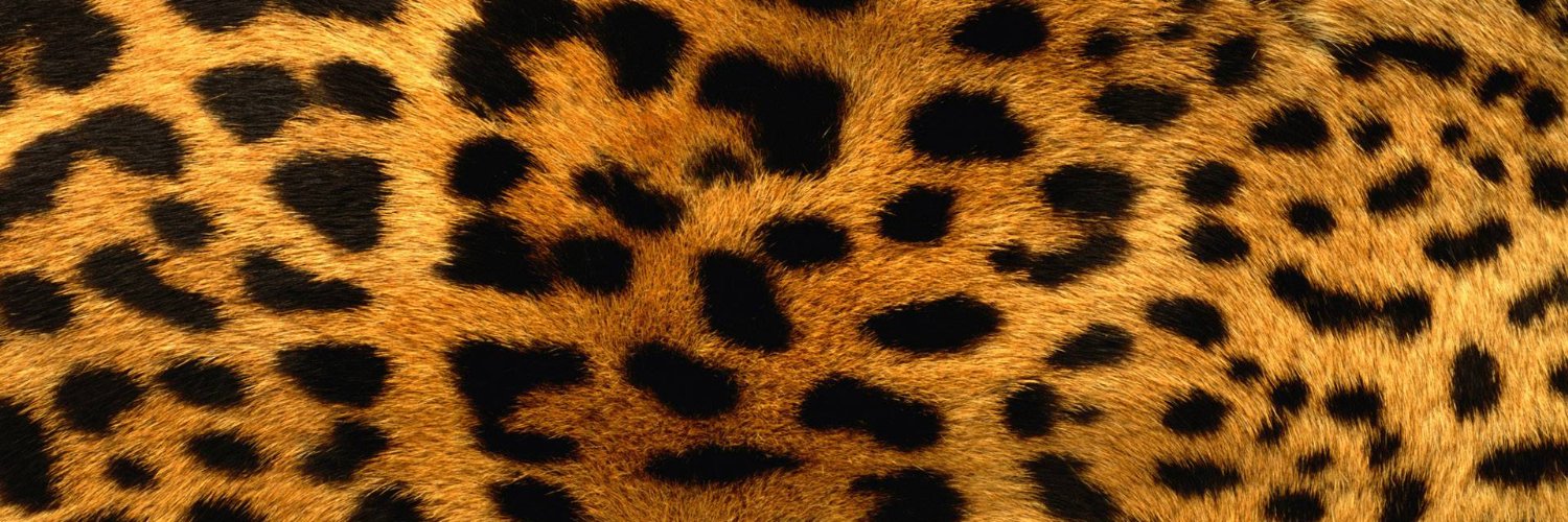 RexwinkleSkylar's profile banner image