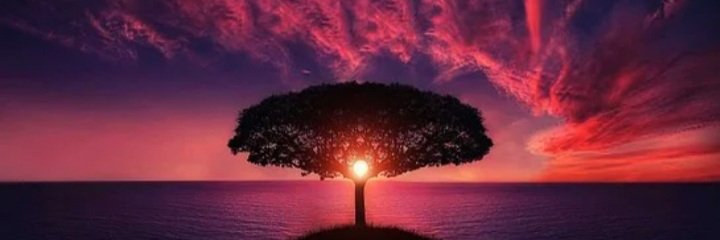 👑Terron (Taillon fc, Jed Hoyer supporter) banner