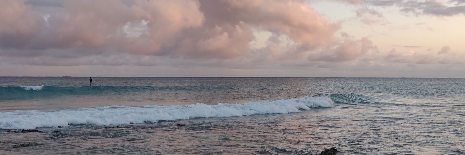 DanRzC's profile banner image