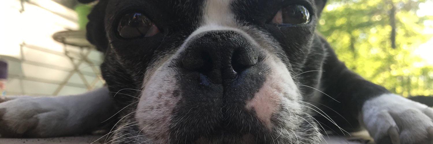 julia_r28's profile banner image
