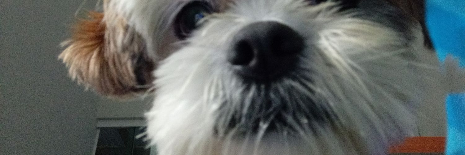 umacigarrete's profile banner image