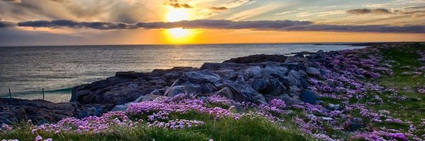 tnangel10 Profile Banner