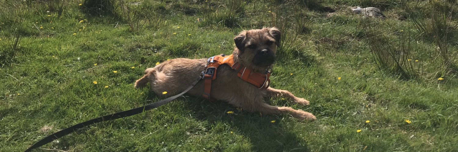 Basil the BT CBE banner