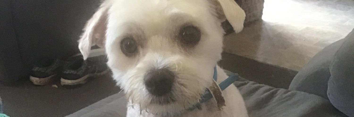 mickkurkowski's profile banner image