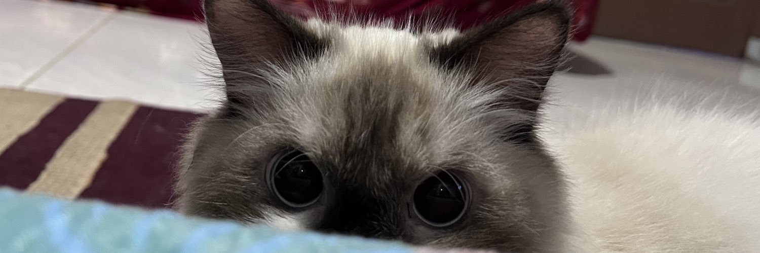 rinelrhy's profile banner image